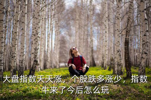 大盤指數(shù)天天漲，個股跌多漲少，指數(shù)牛來了今后怎么玩