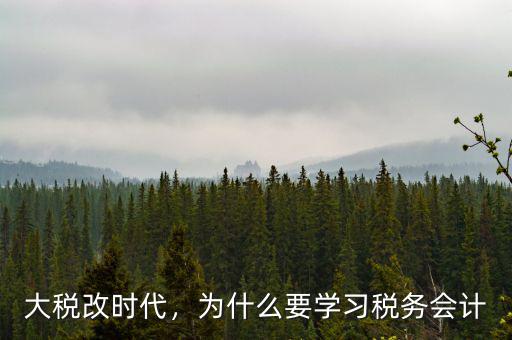 大稅改時代，為什么要學習稅務會計