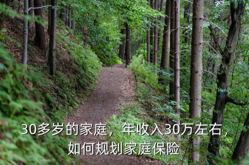 30多歲的家庭，年收入30萬左右，如何規(guī)劃家庭保險