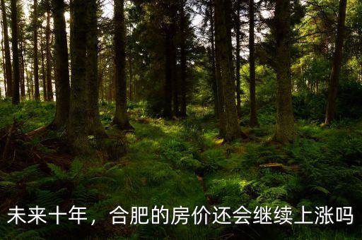 未來十年，合肥的房價還會繼續(xù)上漲嗎