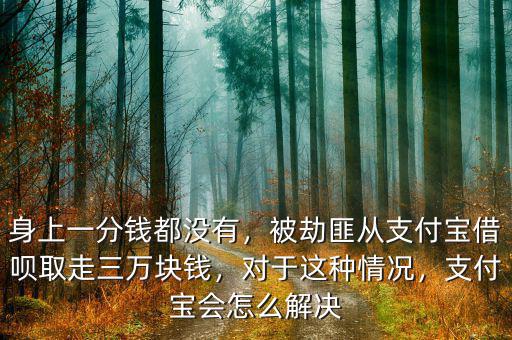 身上一分錢都沒有，被劫匪從支付寶借唄取走三萬塊錢，對于這種情況，支付寶會怎么解決
