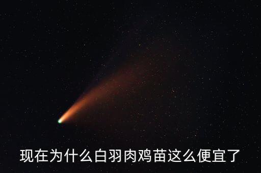 現在為什么白羽肉雞苗這么便宜了