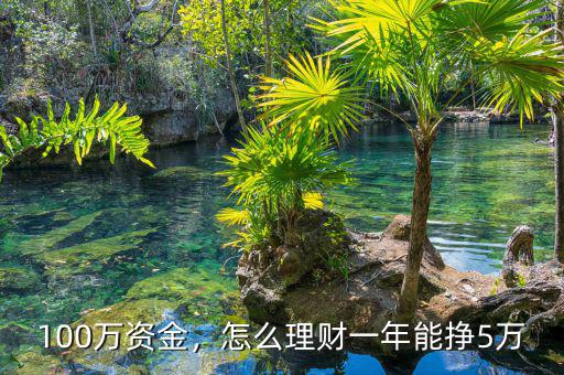 100萬資金，怎么理財(cái)一年能掙5萬