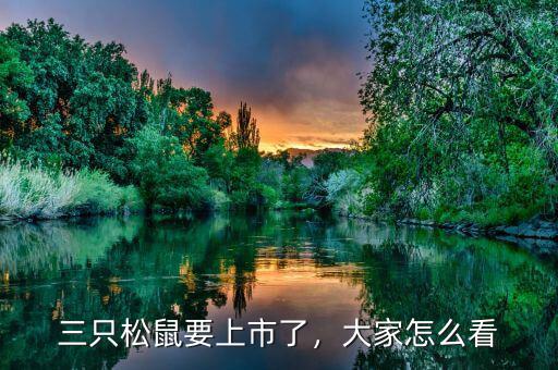 三只松鼠要上市了，大家怎么看