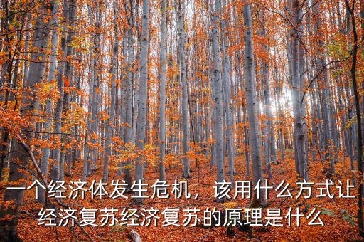 一個(gè)經(jīng)濟(jì)體發(fā)生危機(jī)，該用什么方式讓經(jīng)濟(jì)復(fù)蘇經(jīng)濟(jì)復(fù)蘇的原理是什么