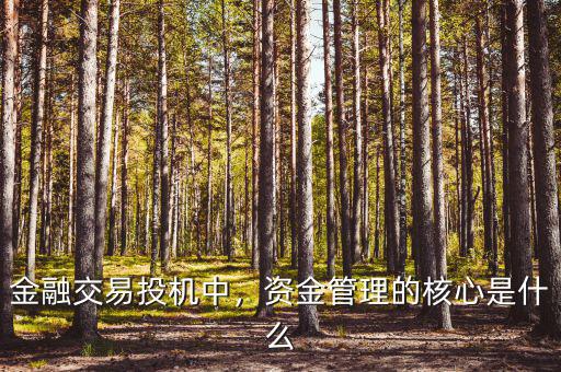 金融交易投機中，資金管理的核心是什么