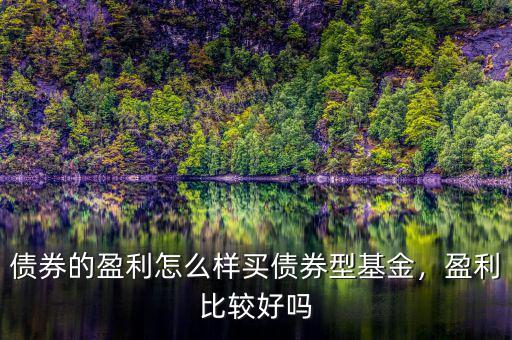 債券的盈利怎么樣買債券型基金，盈利比較好嗎