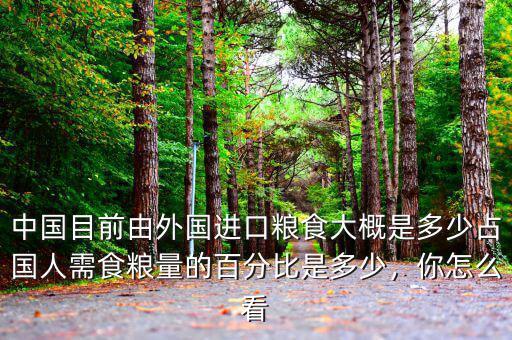 中國(guó)目前由外國(guó)進(jìn)口糧食大概是多少占國(guó)人需食糧量的百分比是多少，你怎么看