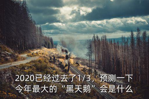 2020已經(jīng)過去了1/3，預(yù)測一下今年最大的“黑天鵝”會是什么