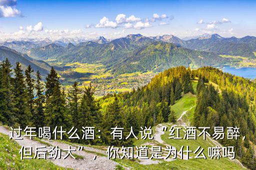 過年喝什么酒：有人說“紅酒不易醉，但后勁大”，你知道是為什么嘛嗎
