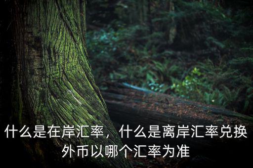 什么是在岸匯率，什么是離岸匯率兌換外幣以哪個(gè)匯率為準(zhǔn)
