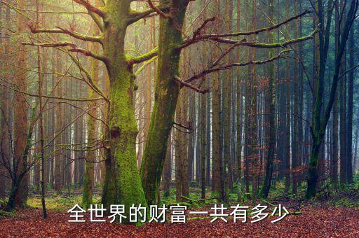 全世界的財(cái)富一共有多少