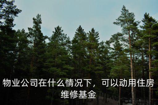 物業(yè)公司在什么情況下，可以動用住房維修基金