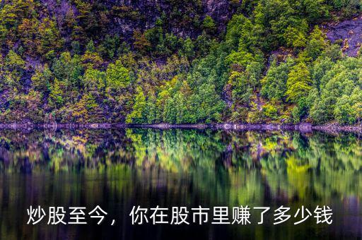 炒股至今，你在股市里賺了多少錢