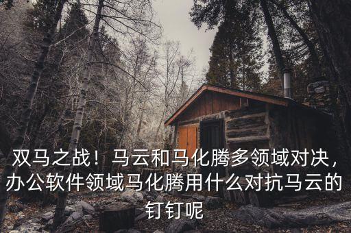 雙馬之戰(zhàn)！馬云和馬化騰多領(lǐng)域?qū)Q，辦公軟件領(lǐng)域馬化騰用什么對(duì)抗馬云的釘釘呢