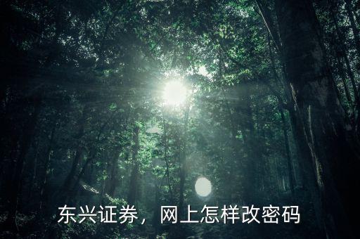 東興證券，網(wǎng)上怎樣改密碼