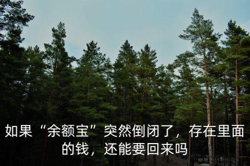 如果“余額寶”突然倒閉了，存在里面的錢(qián)，還能要回來(lái)嗎