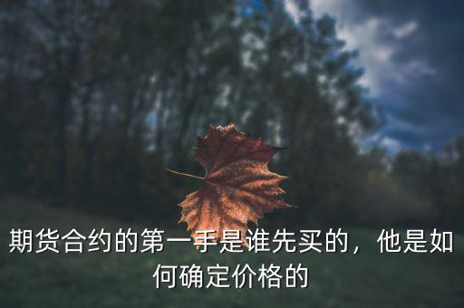 期貨合約的第一手是誰先買的，他是如何確定價格的