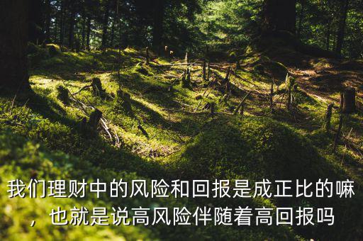 我們理財(cái)中的風(fēng)險(xiǎn)和回報(bào)是成正比的嘛，也就是說高風(fēng)險(xiǎn)伴隨著高回報(bào)嗎