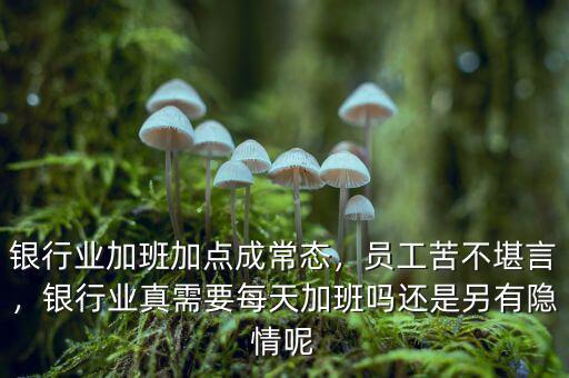 銀行業(yè)加班加點(diǎn)成常態(tài)，員工苦不堪言，銀行業(yè)真需要每天加班嗎還是另有隱情呢
