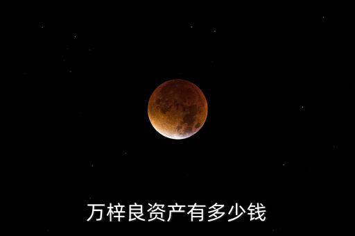 劉江超有多少資產(chǎn),萬(wàn)梓良資產(chǎn)有多少錢(qián)