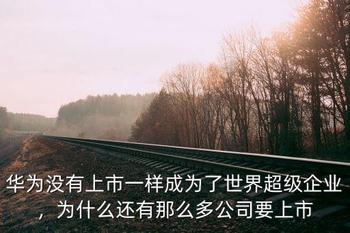 華為沒有上市一樣成為了世界超級企業(yè)，為什么還有那么多公司要上市
