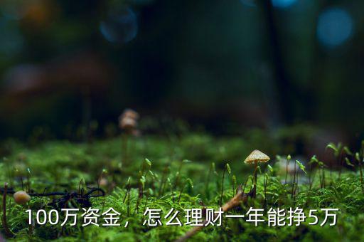 100萬資金，怎么理財一年能掙5萬