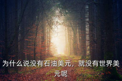 為什么說(shuō)沒(méi)有石油美元，就沒(méi)有世界美元呢