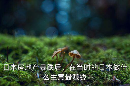 日本房地產(chǎn)暴跌后，在當(dāng)時(shí)的日本做什么生意最賺錢