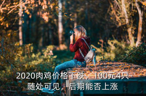 2020肉雞價格下跌，100元4只隨處可見，后期能否上漲
