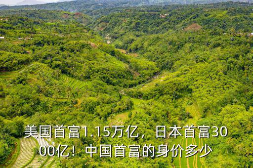 美國首富1.15萬億，日本首富3000億！中國首富的身價多少