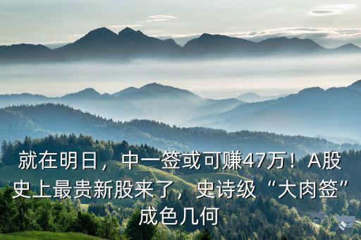 就在明日，中一簽或可賺47萬！A股史上最貴新股來了，史詩級“大肉簽”成色幾何