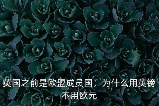英國之前是歐盟成員國，為什么用英鎊不用歐元