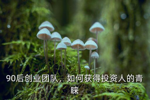 90后創(chuàng)業(yè)團(tuán)隊，如何獲得投資人的青睞