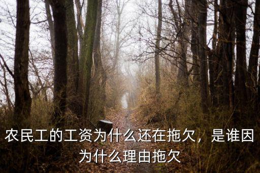 農(nóng)民工的工資為什么還在拖欠，是誰因為什么理由拖欠