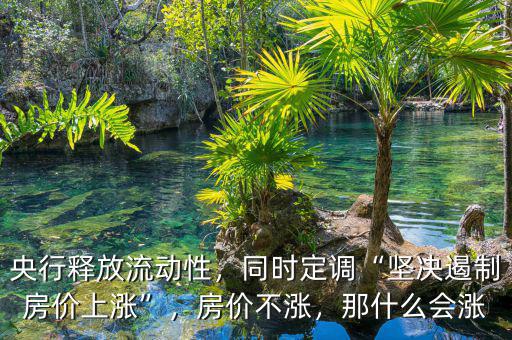 央行釋放流動性，同時定調(diào)“堅決遏制房價上漲”，房價不漲，那什么會漲