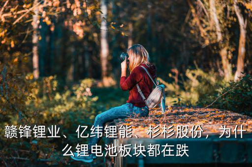 贛鋒鋰業(yè)、億緯鋰能、杉杉股份，為什么鋰電池板塊都在跌