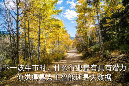 下一波牛市時，什么行業(yè)最有具有潛力你覺得是人工智能還是大數(shù)據(jù)