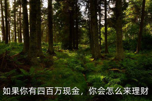 如果你有四百萬現(xiàn)金，你會怎么來理財