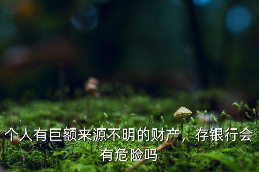 個(gè)人有巨額來(lái)源不明的財(cái)產(chǎn)，存銀行會(huì)有危險(xiǎn)嗎