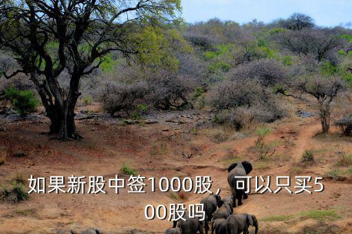 如果新股中簽1000股，可以只買500股嗎
