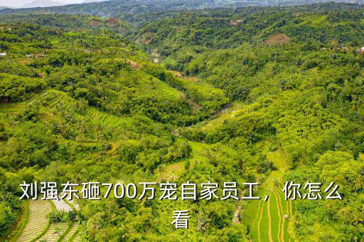 劉強東砸700萬寵自家員工，你怎么看