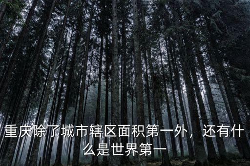 重慶除了城市轄區(qū)面積第一外，還有什么是世界第一