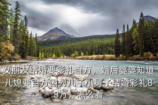 女朋友結(jié)婚要彩禮百萬，婚后婆婆知道兒媳要百萬因為兒子小舅子結(jié)婚彩禮88萬，怎么看