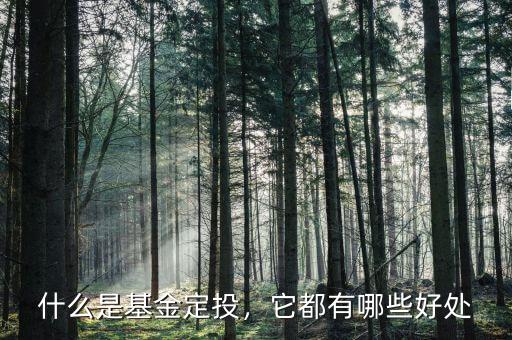 什么是基金定投，它都有哪些好處
