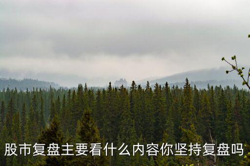 股市復(fù)盤主要看什么內(nèi)容你堅持復(fù)盤嗎