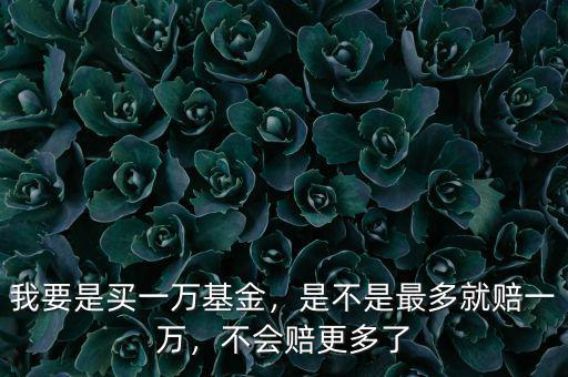 我要是買一萬基金，是不是最多就賠一萬，不會(huì)賠更多了