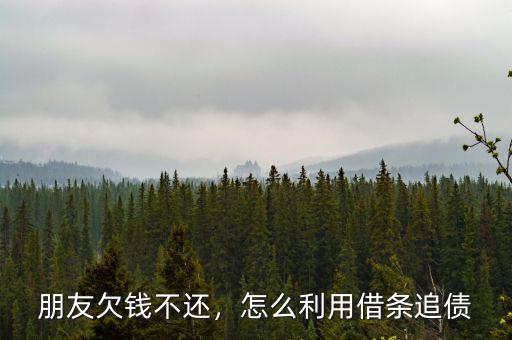 朋友欠錢不還，怎么利用借條追債