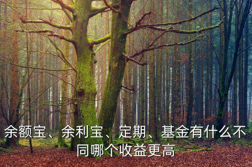 余額寶、余利寶、定期、基金有什么不同哪個(gè)收益更高
