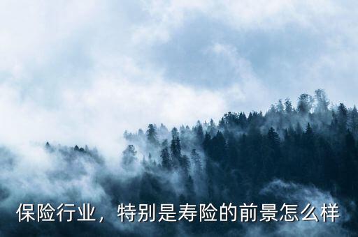 保險(xiǎn)行業(yè)，特別是壽險(xiǎn)的前景怎么樣